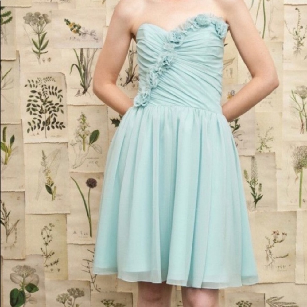 IVY & ASTER Coming Up Roses Chiffon Dress
